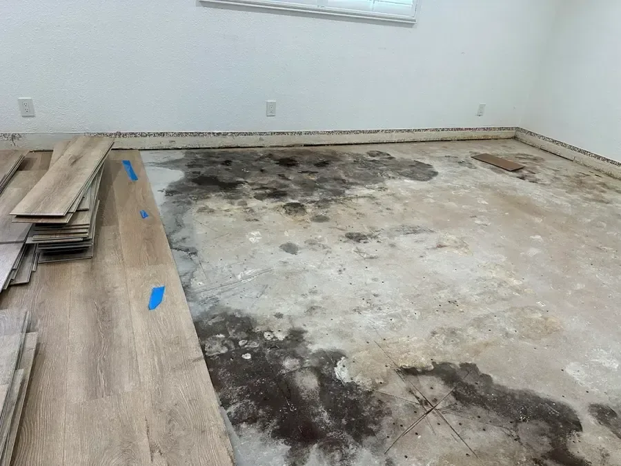 Plank flooring pulled up to expose a wet subfloor that needs drying