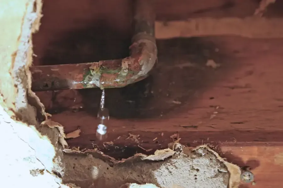 Water dripping from a leaking copper supply pipe inside an opened wall