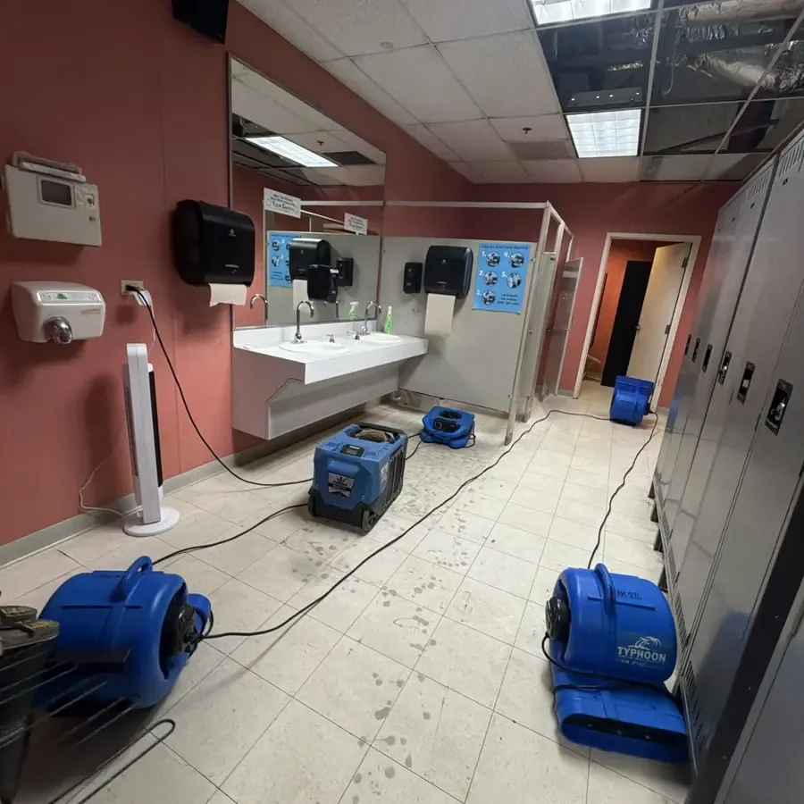 Restoration work underway inside a commercial space after water damage