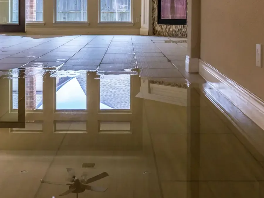Standing water spread across a tiled living room floor, waiting for extraction
